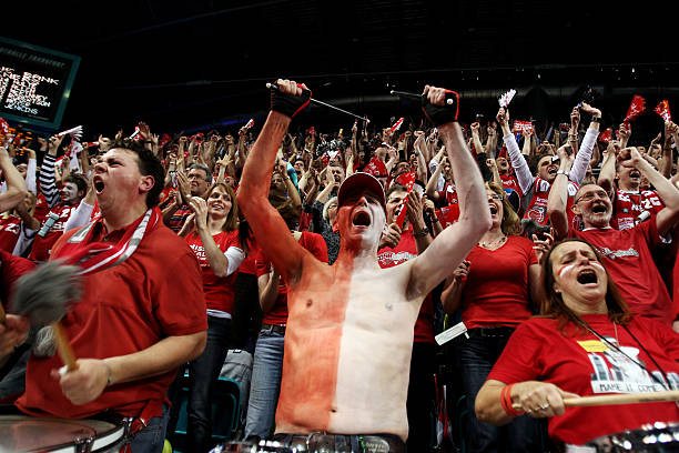 场高水平的 场高水平的